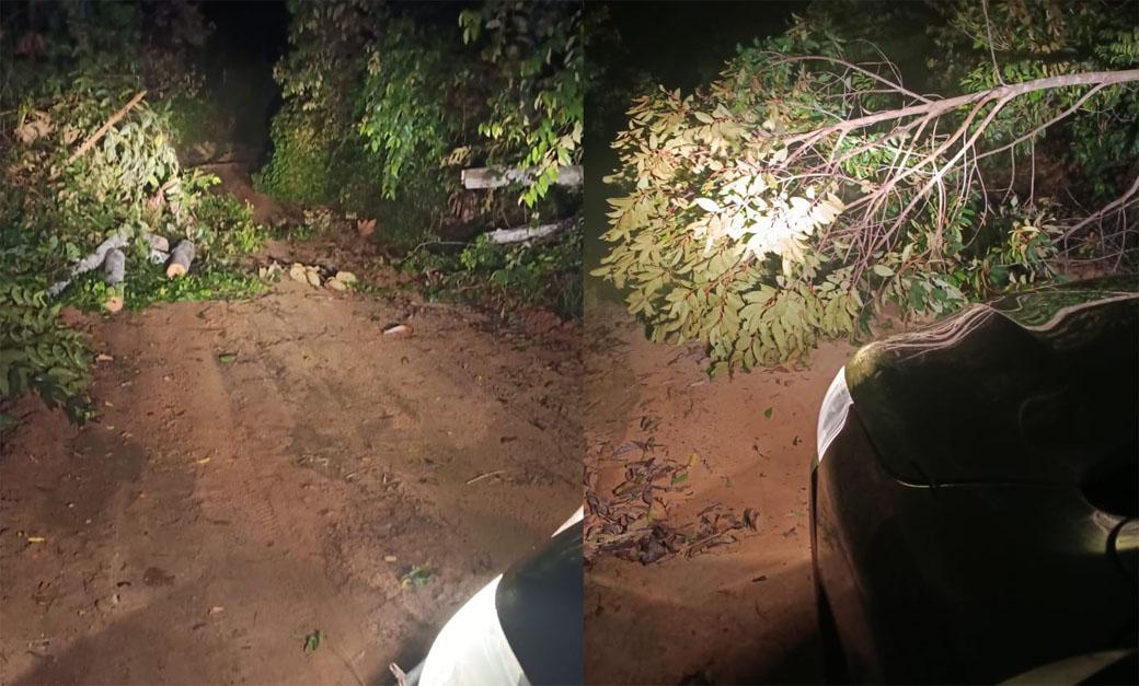 Estrada Rural em Juara fica intransitável com quedas de árvores e moradores pedem socorro