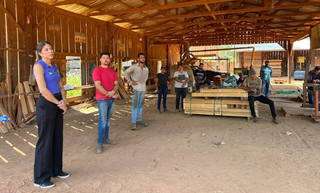 Luiza Böer visita serrarias em Juruena e debate desafios do setor madeireiro no Noroeste de MT
