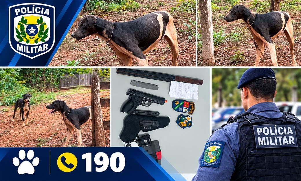 Em Tabaporã 01 pessoa foi presa pela Polícia Militar acusada de maltratar animais domésticos
